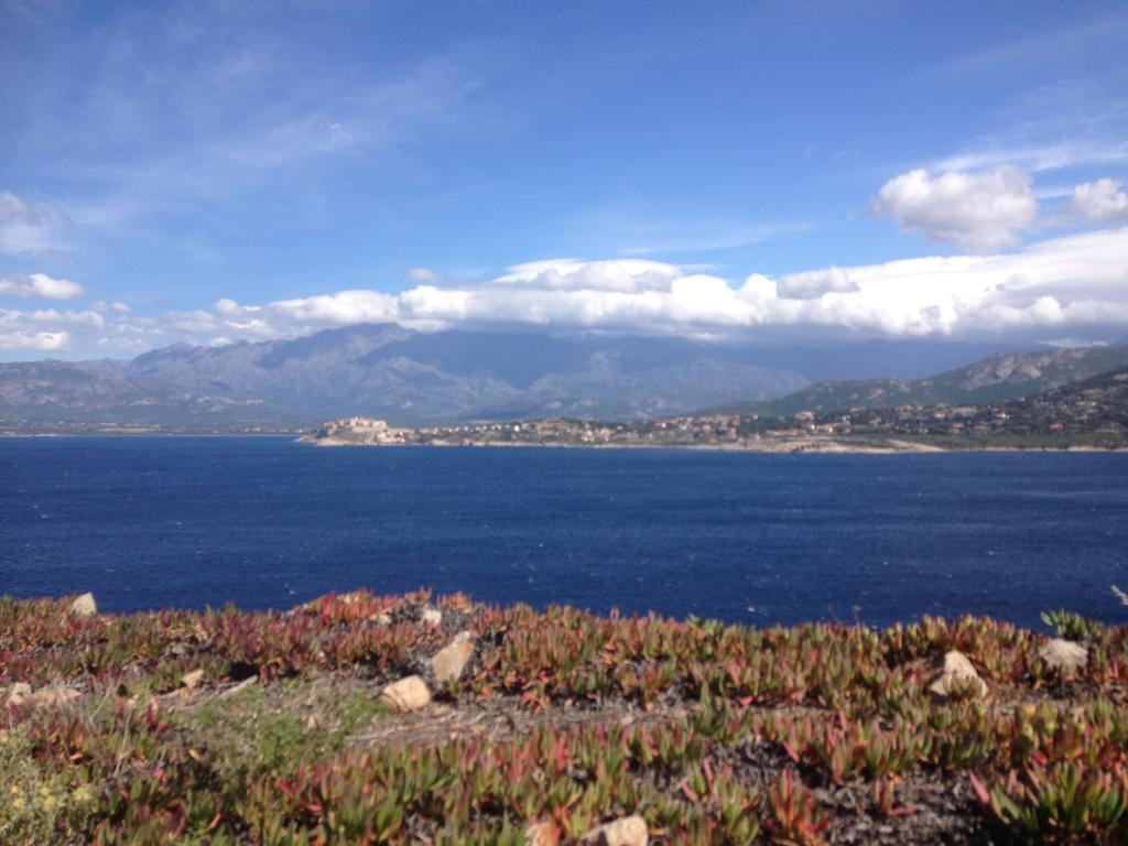 Aparthotel Calvi Appart Hotel 3*