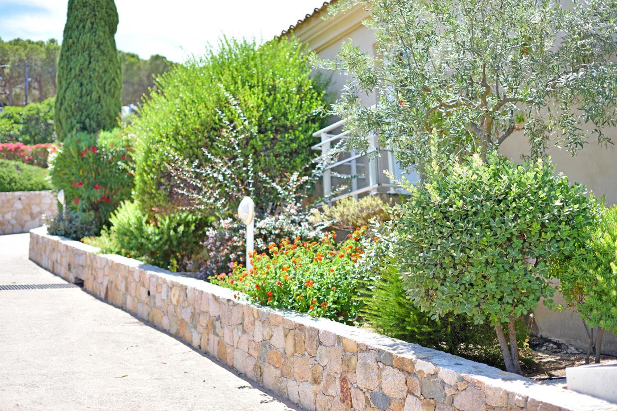Calvi