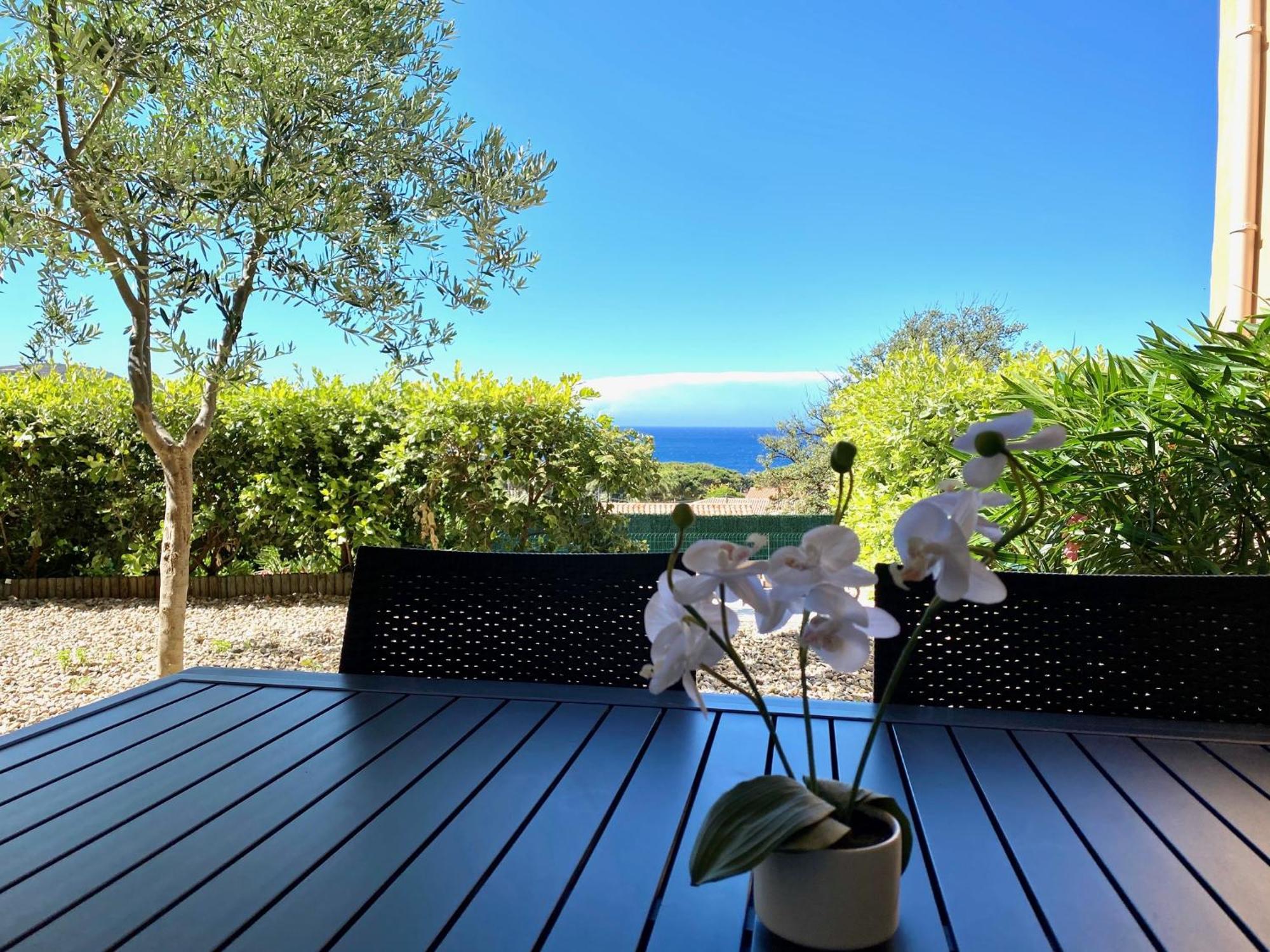 Calvi Calvi (Corsica)
