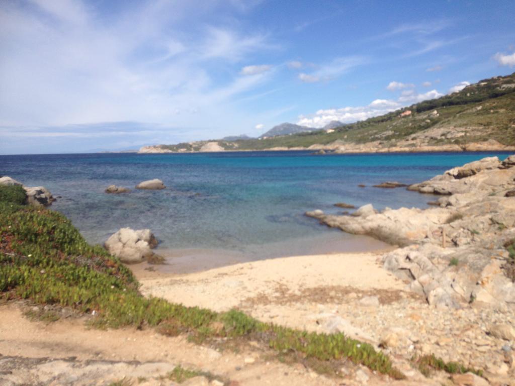 Calvi