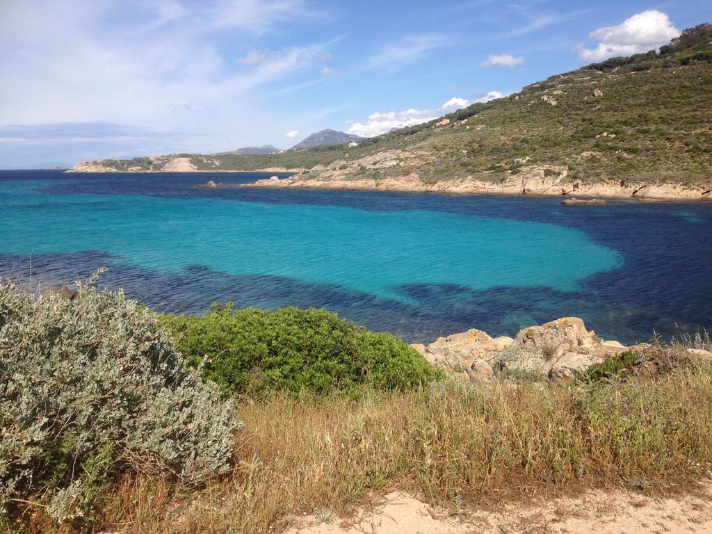 Calvi